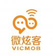 揚(yáng)中市微炫客信息技術(shù)咨詢服務(wù)有限公司